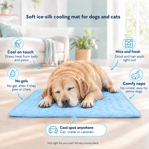 Soft ice-silk cooling mat for dogs and cats