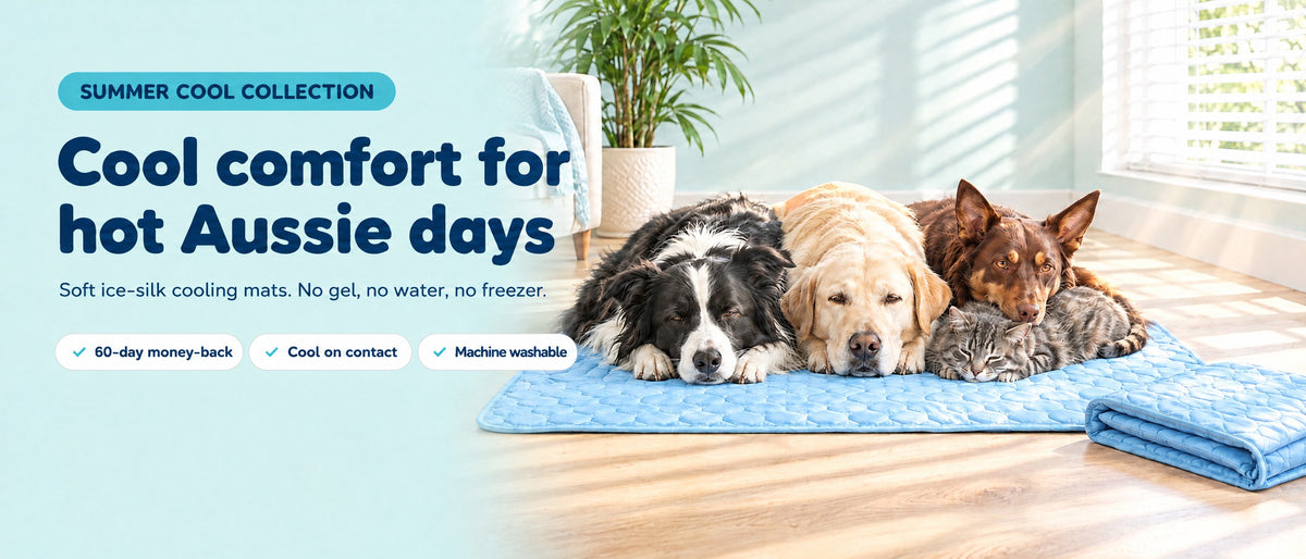 Dogs and a cat lying on a blue KY ice-silk cooling mat